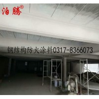 鋼結(jié)構(gòu)防火涂料生產(chǎn)廠家,鋼結(jié)構(gòu)防火涂料實(shí)體廠家